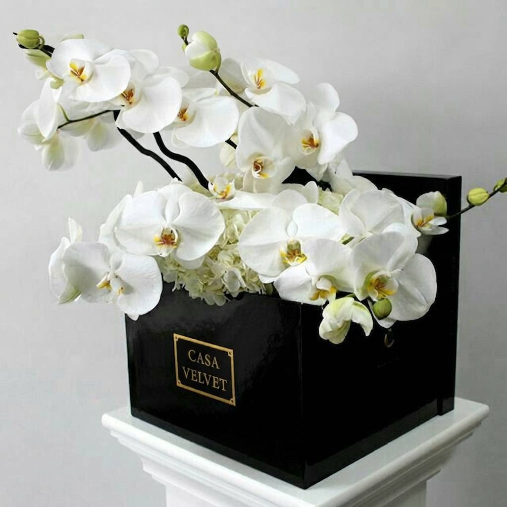caja cuadrada que contiene un ramo de orquídeas blancas